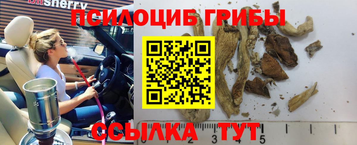 Воркута  Псилоцибиновые грибы MAGIC MUSHROOMS  купить наркотики цена  Вход с VPN 